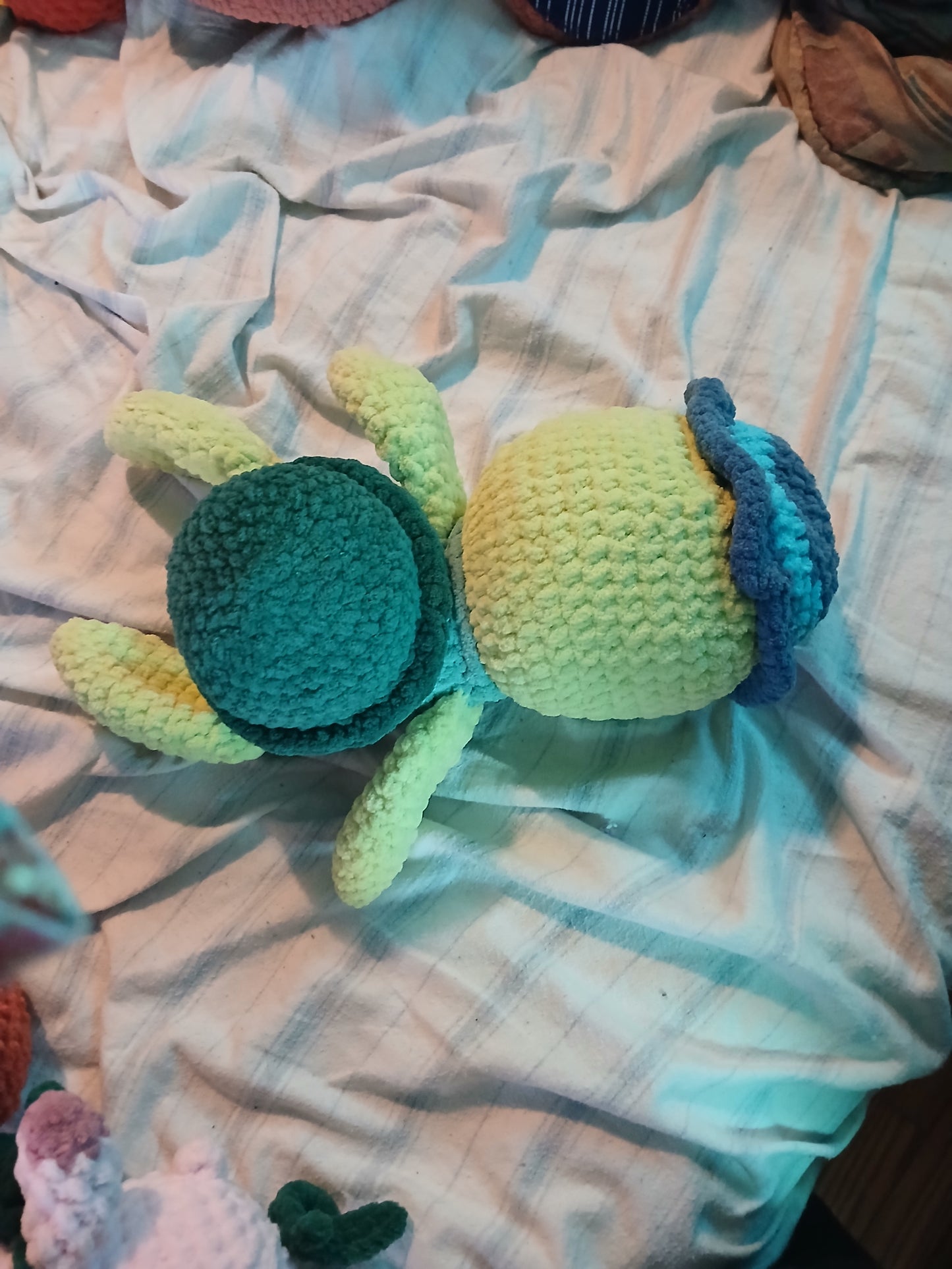 Todd the Turtle