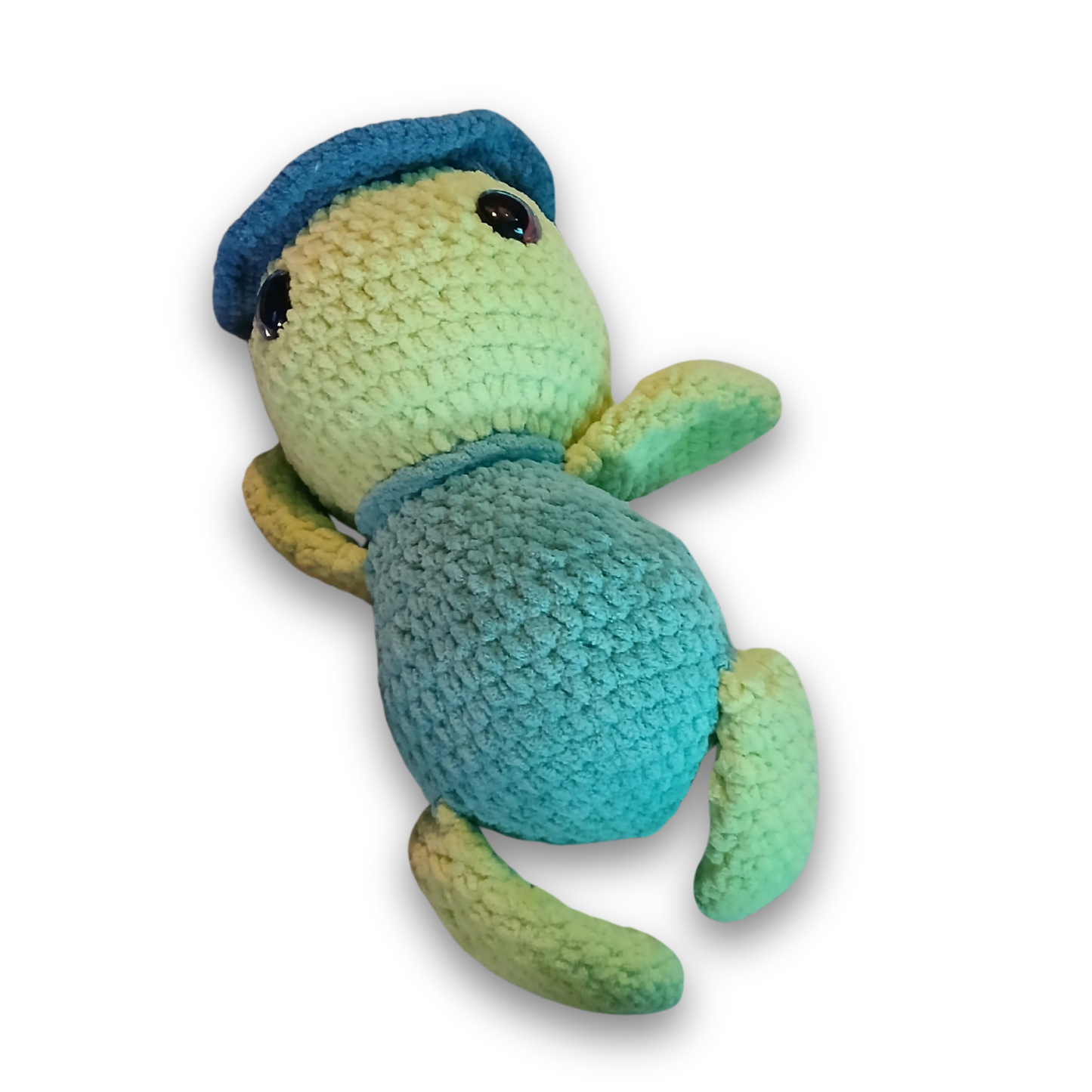 Todd the Turtle