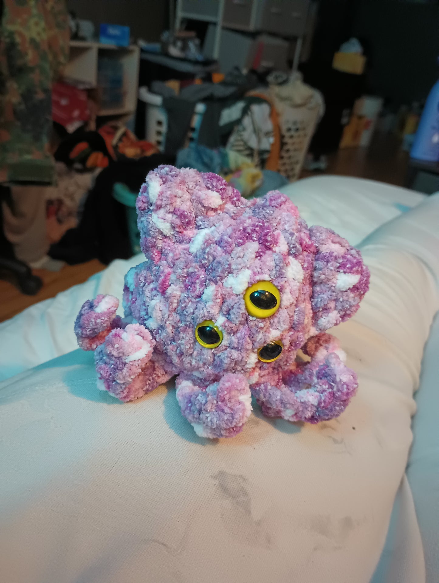 Squid